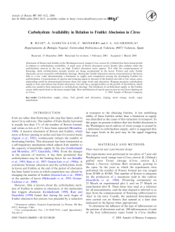 Carbohydrate Availability in Relation to Fruitlet