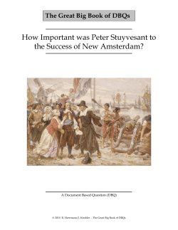 How Important was Peter Stuyvesant to the Success of New