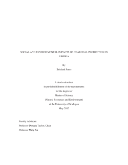 social and environmental impacts of charcoal