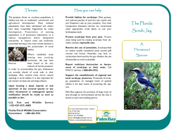 SJ Brochure DRAFT.pub