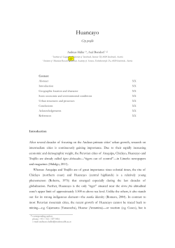 Haller Cityprofilehuancayo 2012