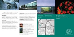 Institute`s brochure (English)