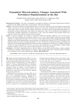Penumbral Microcirculatory Changes Associated