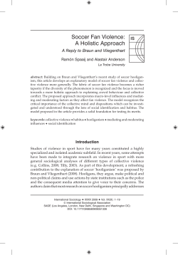 Soccer Fan Violence: A Holistic Approach