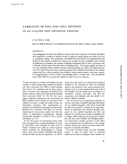 labelling of dna and cell division in so called non
