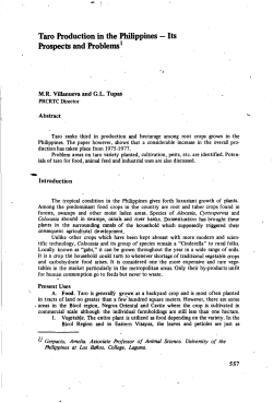 Taro Production in the Philippines