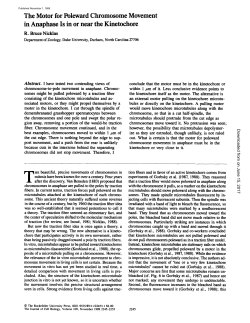 The Motor for Poleward Chromosome Movement in Anaphase Is in