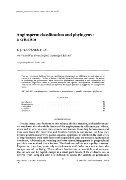 Angiosperm classification and phylogeny: a