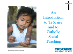 Guide to Catholic Social Teaching