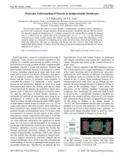 Molecular Understanding of Osmosis in Semipermeable Membranes