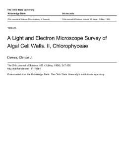 A Light and Electron Microscope Survey of Algal Cell