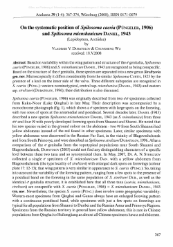 On the systematic position of Spilosoma caevia ( P &Uuml;
