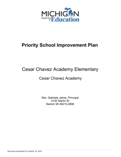 Priority School Improvement Plan Cesar Chavez Academy Elementary