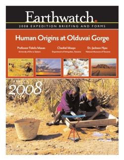 Human Origins at Olduvai Gorge