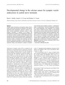 Developmental change in the calcium sensor for synaptic vesicle