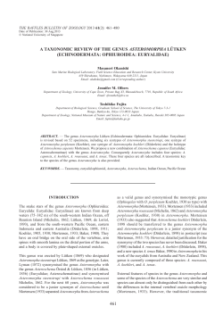 461 a taxonomic review of the genus asteromorpha l&uuml;tken
