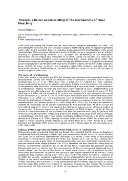 Towards a better understanding of the mechanisms of coral bleaching
