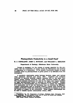 Photosynthetic Productivity in a Small Pond