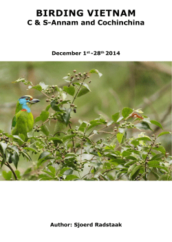 birding vietnam