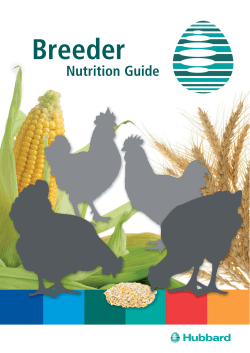 Breeders Nutrition Guide