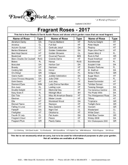 Fragrant Roses - 2017