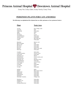 POISONOUS PLANTS FOR CATS AND DOGS