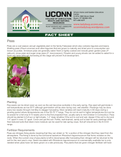 Printable PDF - UConn Home and Garden Education Center