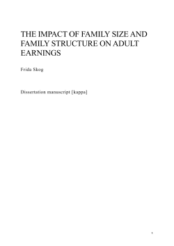 the impact of family size and family structure on adult earnings