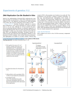 11.2 DNA Replication Can Be Studied In Vitro