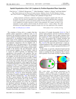 Spatial Organization of the Cell Cytoplasm by Position
