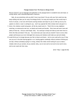 Passage Analysis from The House on Mango Street