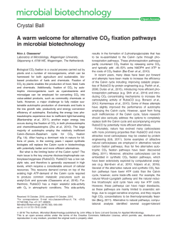 Crystal Ball A warm welcome for alternative CO2 fixation pathways
