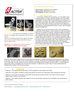 CelluClay Lesson Plan