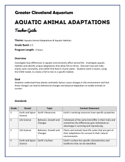 aquatic-animal-adaptations-2016-teacher-guide