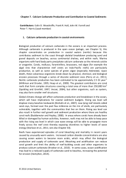 Chapter 7. Calcium Carbonate Production