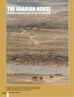 THE ARABIAN HORSE - Desert Heritage Magazine