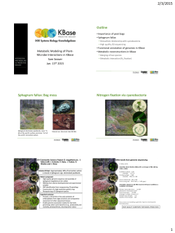 Outline Sphagnum fallux: Bog moss Nitrogen fixation via
