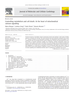 Controlling metabolism and cell death: At the heart of mitochondrial