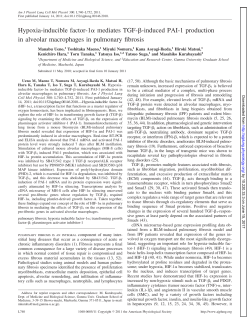 Hypoxia-inducible factor-1 mediates TGF--induced PAI-1 - AJP-Lung