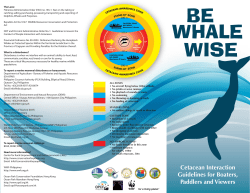Be Whale Wise brochure