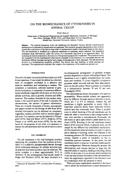 on the biomechanics of cytokinesis in animal cells