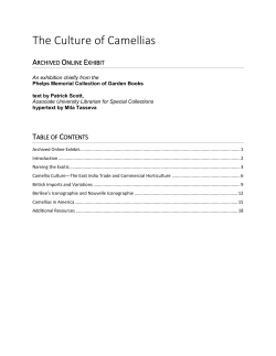 The Culture of Camellias