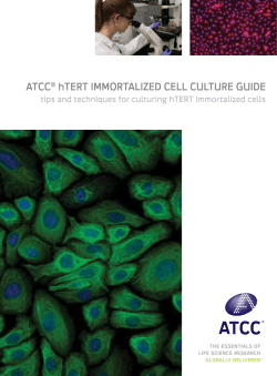 ATCC&reg; hTerT IMMOrTALIZeD CeLL CuLTure GuIDe