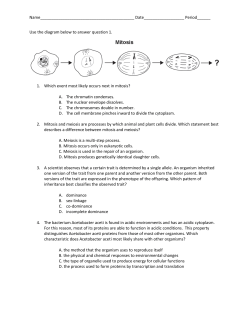 Module 2 (Practice Test)