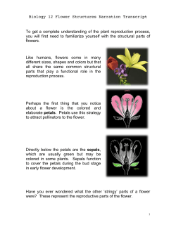 Biology 12 Flower Structures Narration Transcript