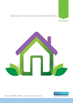 Standard Financial Statement (sfs)