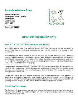 Litter Box Problems In Cats