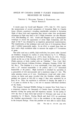 angle of canada goose v flight formation measured by radar