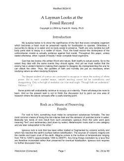 A Layman Looks at the Fossil Record