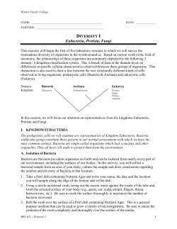 diversity i - Warner Pacific College
